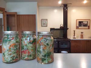 Grandma Tregidga's Coleslaw recipe